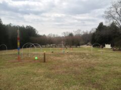 Giant Game