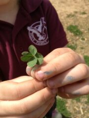 Katie Beth and Four Leaf Clover